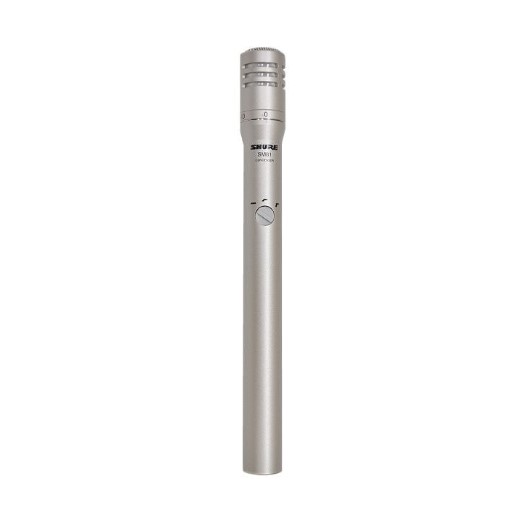 SM81